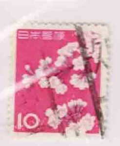 （５５９）日本切手・１０円桜・右下灰紫色消えエラー