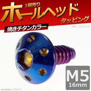 M5×16mm ホールヘッド タッピングネジ ステンレス 六角穴付きネジ ロードバイクなど ドレスアップパーツ 焼きチタンカラー 1個 TC0073