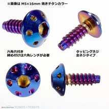 M5×16mm ホールヘッド タッピングネジ ステンレス 六角穴付きネジ ロードバイクなど ドレスアップパーツ 焼きチタンカラー 1個 TC0073_画像2