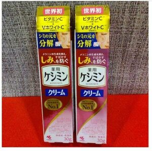 ケシミン 薬用ケシミンクリーム☆２個セット☆新品 小林製薬