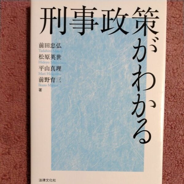 刑事政策がわかる 前田忠弘／著　松原英世／著　平山真理／著　前野育三／著