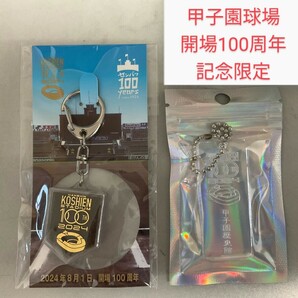 阪神甲子園球場開場100周年記念 甲子園歴史館アクリルキーホルダー 甲子園の土キーホルダーセット 阪神 甲子園球場 高校野球 タイガース