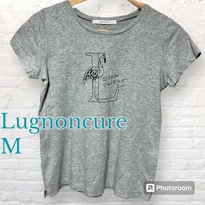 Lugnoncure ルノンキュール 半袖Tシャツ M 霜降りグレー フラミンゴ
