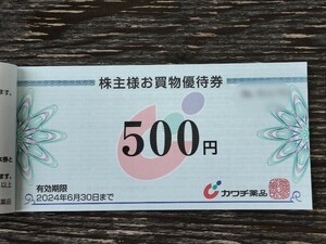 【送料込】カワチ薬品株主優待券5000円分