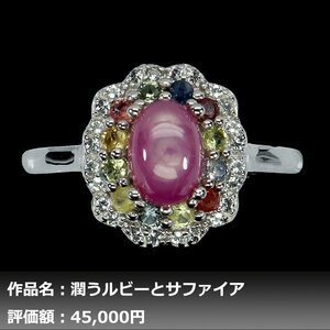 【1円新品】イケゾエガレ｜2.50ct 天然スタールビー&サファイア K14WG仕上リング 17号｜作家モノ｜本物保証｜NGL鑑別対応