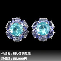 【送料無料】イケゾエガレ｜7.00ct IF等級 天然アパタイト&タンザナイト ダイヤモンド K14WG仕上ピアス｜作家モノ｜本物保証｜NGL鑑別対応_画像1