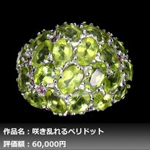 【送料無料】イケゾエガレ｜6.00ct 天然ペリドット&ガーネット K14WG仕上リング 15.5号｜作家モノ｜本物保証｜NGL鑑別対応_画像1