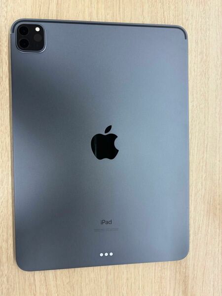 【最終値下げ】iPad Pro (第2世代) 11インチ 256GB スペースグレイ Wi-Fiモデル(傷あり)