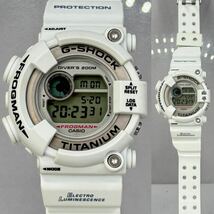 美品 G-SHOCK CASIO G-SHOCK DW-8200NK-2JR FROGMAN フロッグマン メンインネイビー&カーキ チタン ホワイト シルバー 潜水蛙 ホワイト仕様_画像3