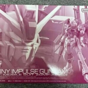 未組立品　新品　1/144 RG デスティニーインパルス 機動戦士ガンダムSEED DESTINY プレミアムバンダイ限定