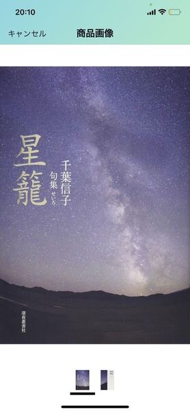 F87 星籠: 句集 千葉信子