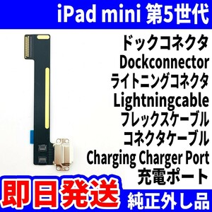 即日発送 iPad mini5 ドックコネクタ 黒 ライトニングコネクタ 充電差込口 充電ポート Dockconnector Lightning 修理 パーツ 交換 動作済