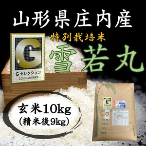 ◆Gセレクション♪雪若丸♪令和５年産！山形庄内産玄米１０kg（白米９kg）送料無料