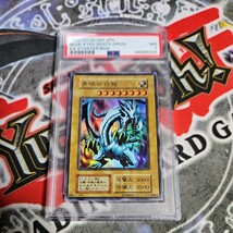 遊戯王 PSA7 青眼の白龍 スタジオ・ダイス 初期 yugioh card _画像1