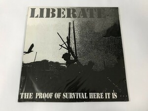 CI028 Liberate / The Proof Of Survival Here It Is… BSR-023 【LP レコード】 1119