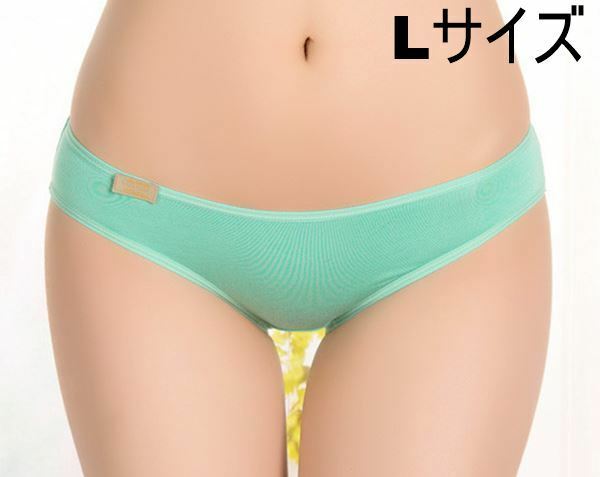 送料無料 デイリーユース用 フルバック ビキニ 薄緑 Lサイズ ショーツ パンティー panties