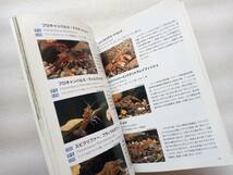 世界のザリガニ　飼育図鑑　増補版　ジャパンクレイフィッシュクラブ　マリン企画　_画像3
