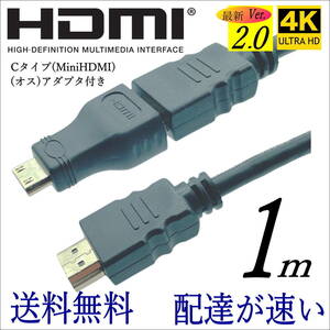 △ハイスピードVer2.0 便利なmini HDMI(C)変換アダプタ付きHDMIケーブル 1m 4K対応 プレミアム高速 2HDMI-10+AC△