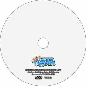 【アーケード】 新スーパーリアル麻雀シリーズ Hi Pai パラダイス 【攻略DVD】