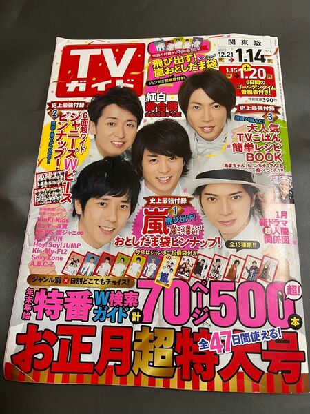 TVガイド　嵐　2013関東版　嵐お年玉袋