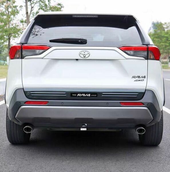 RAV4 50系 rav4 ドランクドアガーニッシュ【E61】