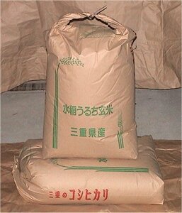 * profit gratitude *. peace 5 year three-ply prefecture production Koshihikari! brown rice 10Kg! agriculture house direct delivery limitation!( several possible )