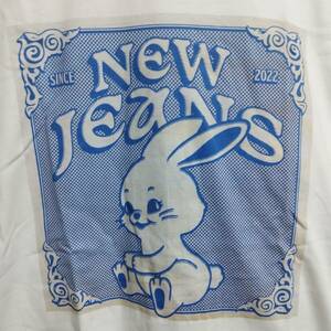 人気商品☆【新品/送料無料】NewJeans/ニュージーンズ プリントTシャツb【XLサイズ】男女兼用 来日 KPOP トッキ TOKKI FLUFFY TWICE