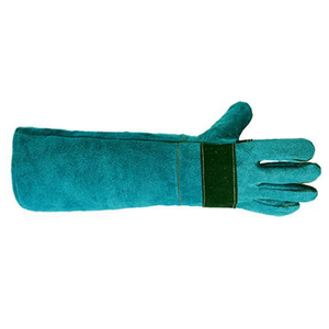 * green * pet glove 45cm * pet glove 45cm spetglove45 pet glove 45cm pet glove long long height gloves 