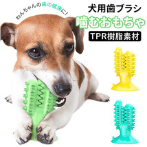 ☆ イエロー 犬 噛む おもちゃ 通販 ペット用品 玩具 オモチャ ストレス解消 歯ブラシ 歯茎マッサージ 小型犬 中型犬 クリーニング 長持ち_画像3