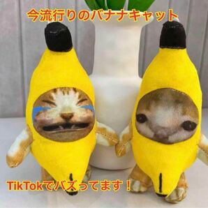 月末セール最終日！バナナキャット 猫ミーム TikTokで大人気 キーホルダー 音声付き 2個セット 可愛い 映え 