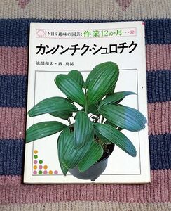 本　NHK趣味の園芸 カンノンチク・シュロチク　池部和夫 西良祐