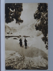 ♪絵葉書#3759┃関温泉 五本杉 スキーをする人々┃雪景色 新潟県