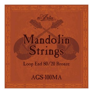 マンドリン 弦 アリア ARIA AGS-100MA Mandolin マンドリン弦