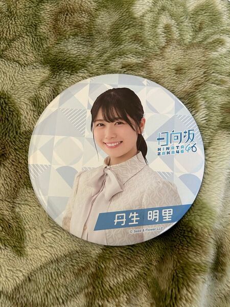日向坂46 丹生明里 一番くじ 缶バッジ