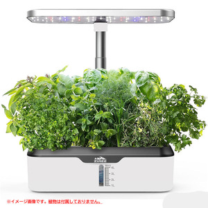 C5218YO ◆0510_5凹【アウトレット品】水耕栽培 育苗 キット ZIREE A50 植物育成 家庭菜園 自動水循環システム搭載未使用