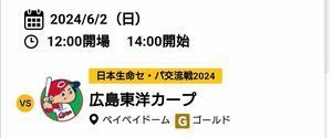 福岡ソフトバンクホークス VS 広島東洋カープ 6月2日(日)日本生命セ・パ交流戦 2024 3塁側外野席 22列目 通路側 2枚