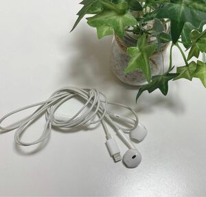 Apple 純正イヤホン　Earpods Lightning iPhone付属品 