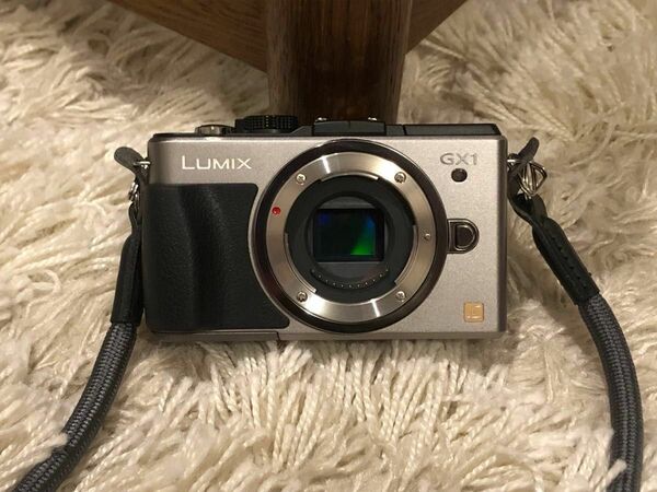 Panasonic LUMIX DMC GX1 