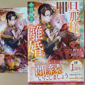 特典イラカ付/ようやく会えた旦那様、今日限りで離婚してください/三沢ケイ/御子柴リョウ/ベリーズファンタジースイート