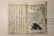 「滑稽道中 宮島土産 初編 上巻」十方舎一丸 1冊｜滑稽本 厳島神社 広島 絵本 絵入り 木版画 社会 風俗 江戸時代 古書 和本 古典籍 p73_画像6