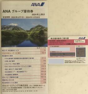 ANA акционер пригласительный билет 2024.06.01~2025.05.31.ANA группа пригласительный билет 