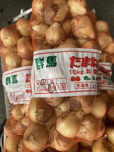  prompt decision * Gunma prefecture production new sphere welsh onion 10 kilo M.L.LL size 