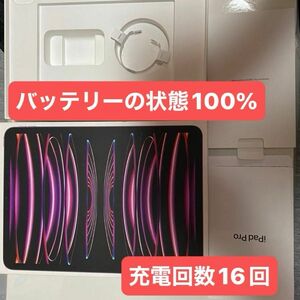 11インチiPad Pro(第4世代) Wi-fi+Cellular 128GB スペースグレイ バッテリー100%充電回数16回