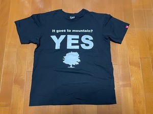 ザ ノース フェイス THE NORTH FACE メンズ　グラフィック 半袖Tシャツ NT31263 YES NO　ブラック