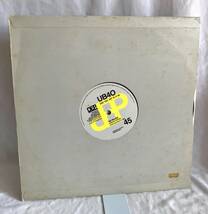 輸入盤LP UB40 I'm Not Fooled / The Pillow ,Vinyl, 12", 45 RPM, Single 2曲収録の12インチシングル_画像2