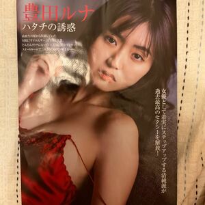 豊田ルナ雑誌FRIDAY切り抜き8ページFlashヤングマガジンチャンピオンジャンプアニマルキングプレイボーイグラビア女優モデルアイドルトリガ