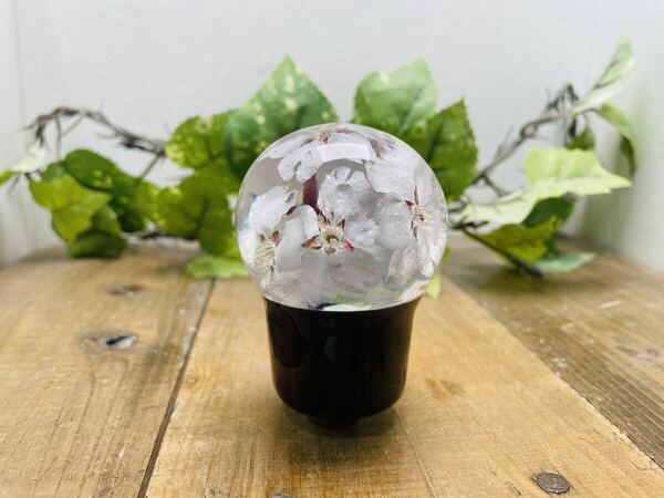 訳あり品　水中花シフトノブ　ミニ電球型　桜　黒