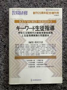 問題あり 印あり 教職研修 創刊20周年記念増刊号 8月増刊号 キーワード生徒指導 菱村幸彦編集 平成4年8月1日発行 教育開発研究所