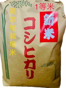 新米　1等米　コシヒカリ　5キロ　島根県　農家直送　送料無料　米　こしひかり　5kg