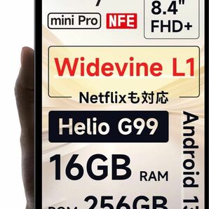 ALLDOCUBE iPlay50ｍini Pro NFE 256GB 美品 ケース付き